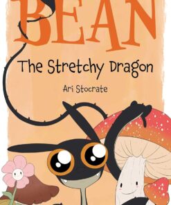 book cover of Bean The Stretchy Dragon